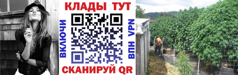 ГАШИШ Волхов