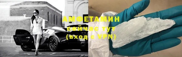стаф Арсеньев