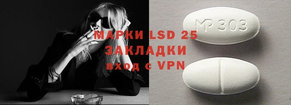 ешки Аркадак