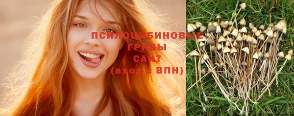 ешки Аркадак