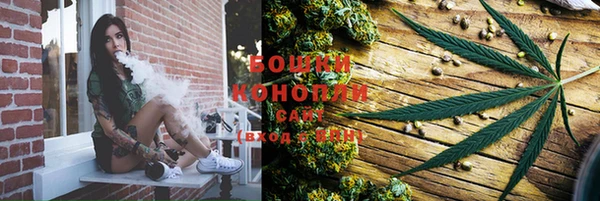 ешки Аркадак