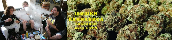 ешки Аркадак